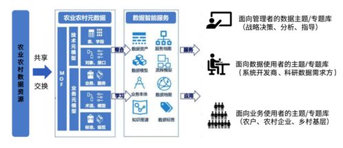 請問數字鄉村的建設有沒有啥成功例子了 有沒有人知道